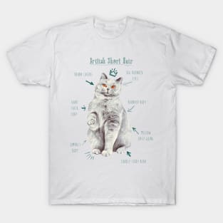 British Short Hair Kitty Illustration T-Shirt